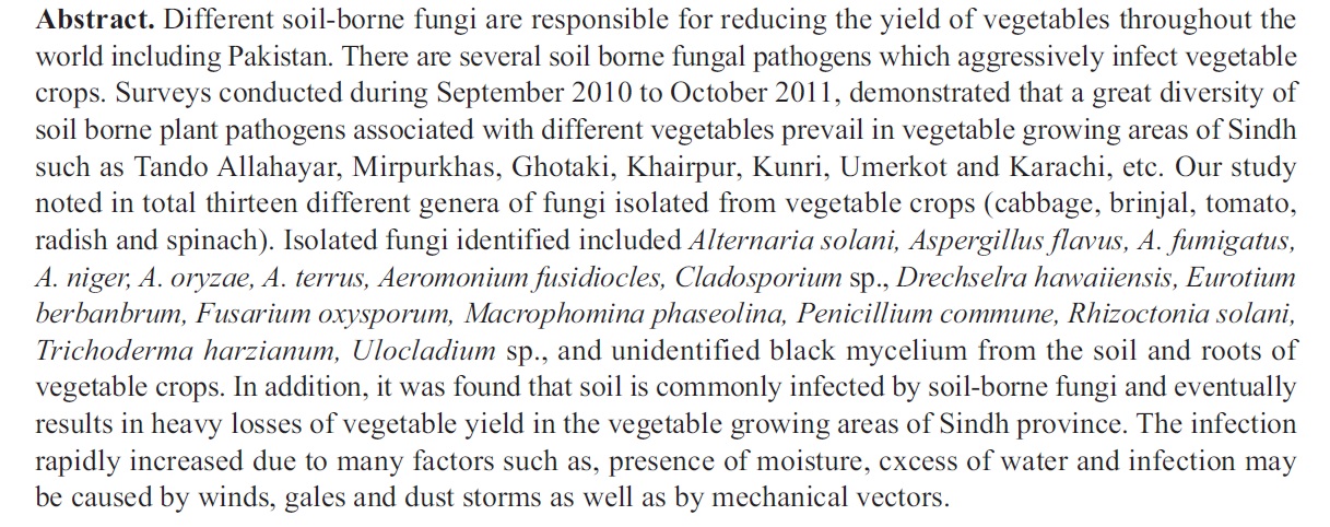 Article_5_Bio_3.jpg