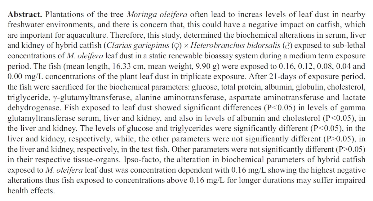 Article_7_Bio_3.jpg