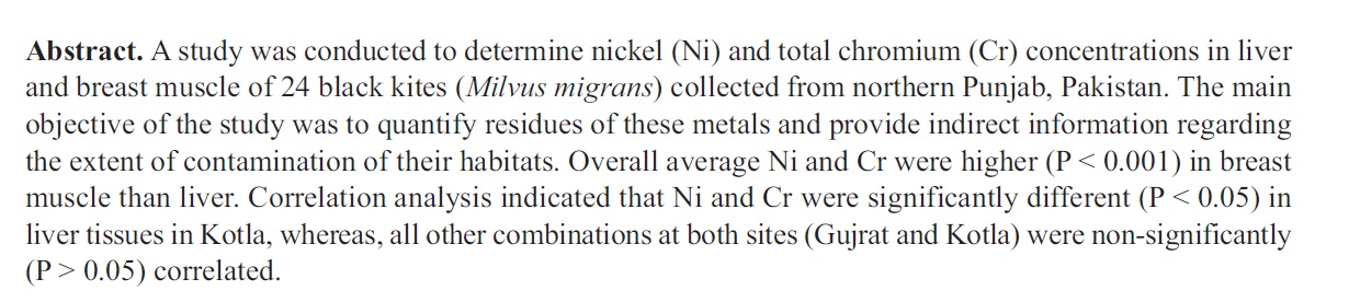 Article_9_bio_2.jpg